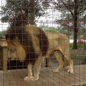 Meet your Posher, Joe